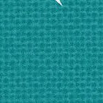 miami dolphins