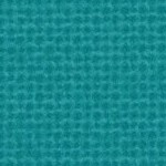 miami dolphins