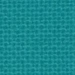 miami dolphins