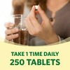 Spring Valley Vitamin B6 Supplement, 100 mg, 250 Count - 2 of 4
