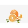 Oranges Fruit Adult Crew Neck Short Sleeve Tee - 2 of 3
