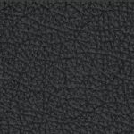 michigan state spartans