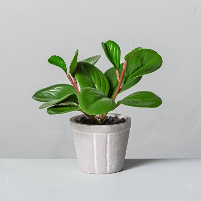 7" Mini Faux Peperomia Potted Plant - Hearth & Hand™ with Magnolia