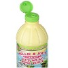 Nellie and Joe's Key West Lime Juice, 16 oz - 3 of 4