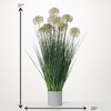 Sullivans Artificial 31" Medium Potted Puff Green Grass - 4 of 4