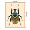 Amanti Art Beetle Bug I by Victoria Barnes Canvas Wall Art Print Framed 16 x 20-in. - 4 of 4