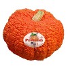 Fresh Heirloom Pumpkin - each - 3 of 3