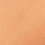 warm neutral