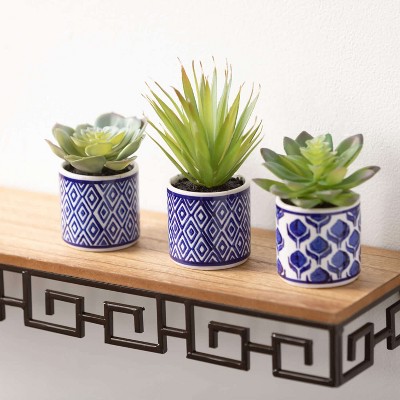 Spring Essence Trio of Artful Succulents in Patterned Pots