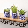 Sullivans Artificial 4" Succulents In Printed Pots - Set of 3 - 3 of 3