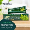 The Green Beaver Company Natural Toothpaste Spearmint, 2.5 Oz - 2 of 4