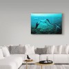 Trademark Fine Art -Ata Alishahi 'Sleeping Mermaid' Canvas Art - 3 of 3