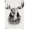 Trends International Moose - Trees Unframed Wall Poster Prints - 4 of 4