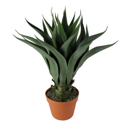 Northlight 23.5" Agave Americana Artificial Succulent Potted Plant - Green