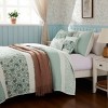 Sapphtopaz 6 Pcs Cotton Percale Comforter Set, All Season Bedding Set Reversible- printed Quilt Set with Throw Pillows, Machine Washable - 3 of 4