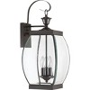 Oasis 1-Light Medici Bronze Outdoor Wall Lantern - 4 of 4