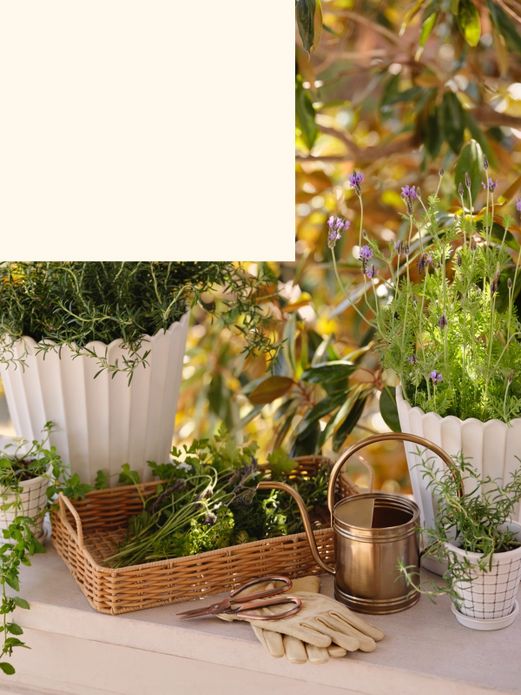 Ribbed ceramic pots, flower drying basket and brass watering can