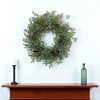 HomeRoots 26" Green And Brown Christmas Juniper Artificial Wreath - 2 of 4