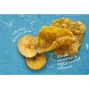 Solula Tostones Caribbean Lime - Case of 12 - 4 oz - image 3 of 4