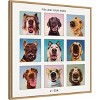 Amanti Art Follow Your Nose Collage by Lucia Heffernan Canvas Wall Art Print Framed - 2 of 4