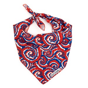 The Worthy Dog Kaleidoscope Bandana Accessory - 1 of 3