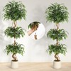 Whizmax Artificial Ficus Tree - Realistic Curved Trunk Faux Plant in White Pot, Silk Indoor Tree for Home Decor - 4 of 4