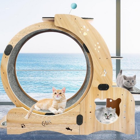 Cheap cat exercise wheel hotsell