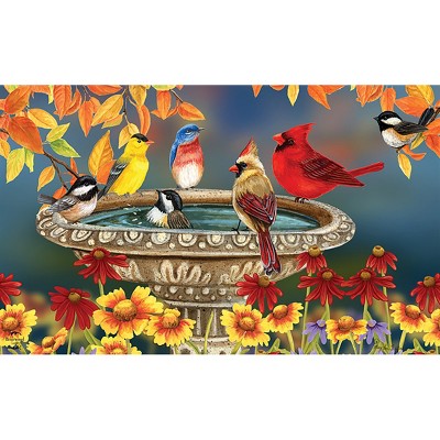 Briarwood Lane Fall Doormat 30x18 Indoor Outdoor Fall Birdbath Floral For Fall Doormat