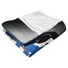 Warner Bros. WB 100 Looney Duo Silk Touch Throw Blanket 50x60 Inches - 2 of 4