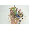 Lobster, Pacific, Australian, Crustaceans, Hand Painted, Museum Quality, Rubber, Realistic, Toy, Kids, Model, Gift,  12 Inches. CH1001 BB219 - 3 of 4
