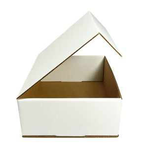 UBMOVE White Corrugated Mailer and Literature Boxes Sets of 50 (12-1/9" x 9-3/4" x 4" Literature Box) - 1 of 4