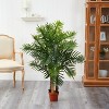 HomeStock  4 ft. Artificial Palm Tree in Pot for Indoor/Outdoor - 2 of 4