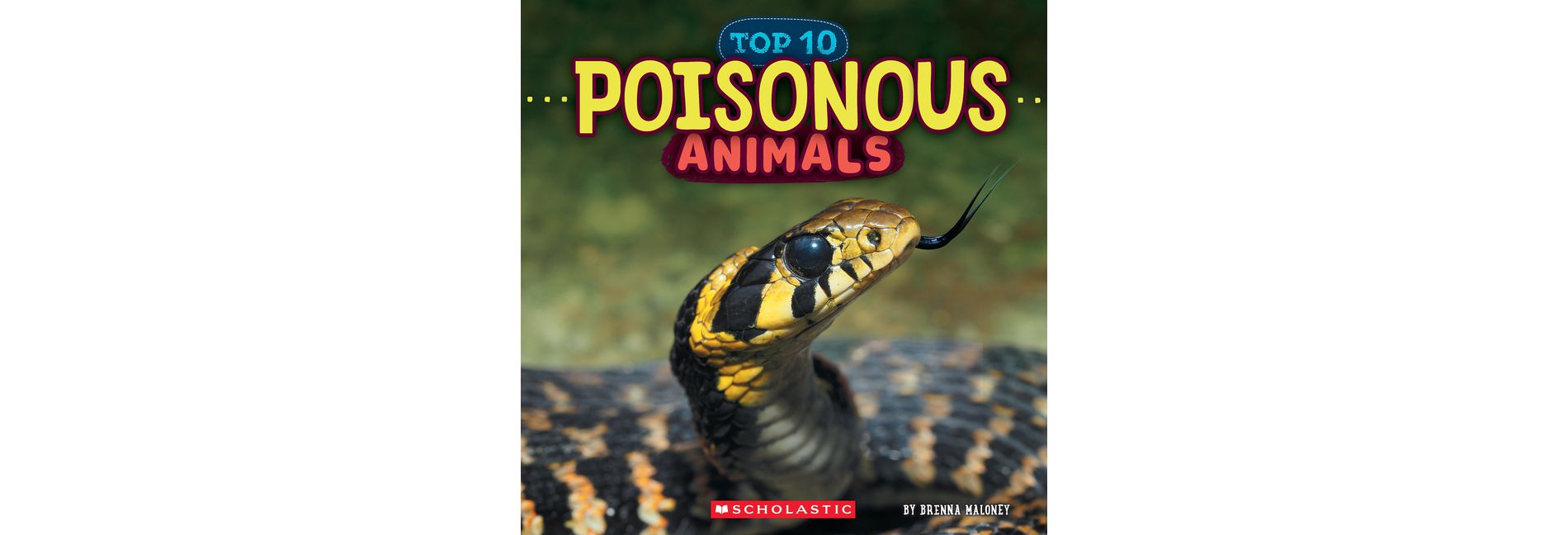 Poisonous Animals (Wild World: Top 10) - by  Brenna Maloney (Paperback)