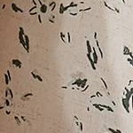 Abstract Floral Beige