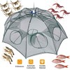 LakeForest "Foldable Fishing Bait Net Trap for Crab, Shrimp, Minnow, Crawdad, Fish – Automatic Contraction Mesh Cage"Grey - 2 of 4
