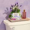 The Honey Pot Company 100% Organic Cotton Cover Calming Herbal Infusion Regular Pads - 20ct - 2 of 4