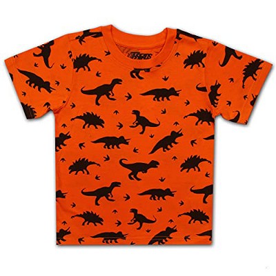 dinosaur shirt 2t