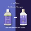 SheaMoisture Apple Cider Vinegar Anti-Dandruff Salicylic Acid Shampoo - 13 fl oz - 3 of 4