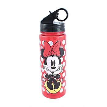 Silver Buffalo Minnie & Mickey Blowing Kiss Hearts Double Walled Stainless  Steel Tumbler w Straw, 22-Ounces, 1 Count (Pack of 1)