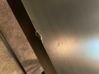 Guest review image 2 of 2, zoom in