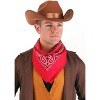 HalloweenCostumes.com    Adult's Brown Outlaw Cowboy Hat, Brown - 2 of 4