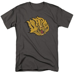 Men's University of Arkansas at Pine Bluff Official Distressed Primary T-Shirt - 1 of 4