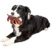 Cesicia Durable Water Resistant Plush Chew Tugging Dog Toy,Brown - 2 of 2