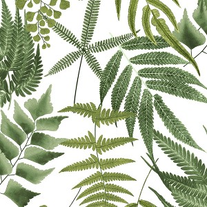 Midsummer Fern Lush White and Green Tropical Leaves Paste the Wall Wallpaper - 1 of 4