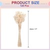 Unique Bargains Decorative Natural Dried Floral Bunny Tail Artificial Plants 120 Pcs - 2 of 4