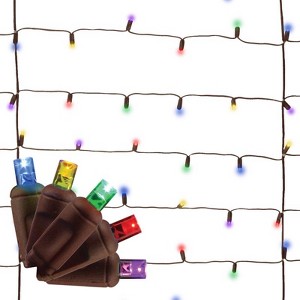 Celebrations Platinum LED Mini Multicolored 100 ct Net Christmas Lights 6 ft. - 1 of 1