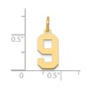 Black Bow Jewelry 14k Yellow Gold, Athletic Collection, Small Polished Number 9 Pendant - 4 of 4