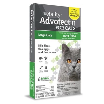 Advecta ii for dogs sale