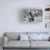 Trademark Fine Art -Bertram Schemel 'Elefamily' Canvas Art - 2 of 4