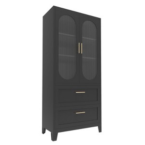 ZACHVO Metal Storage Cabinet, Black: 2 Drawers, Acrylic Glass Doors, Adjustable Shelves & Feet - Ideal for Kitchen, Office, Living Room - 1 of 1